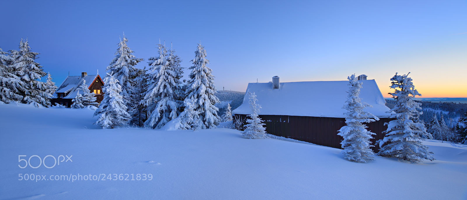 Nikon D800 sample photo. Winter night photography