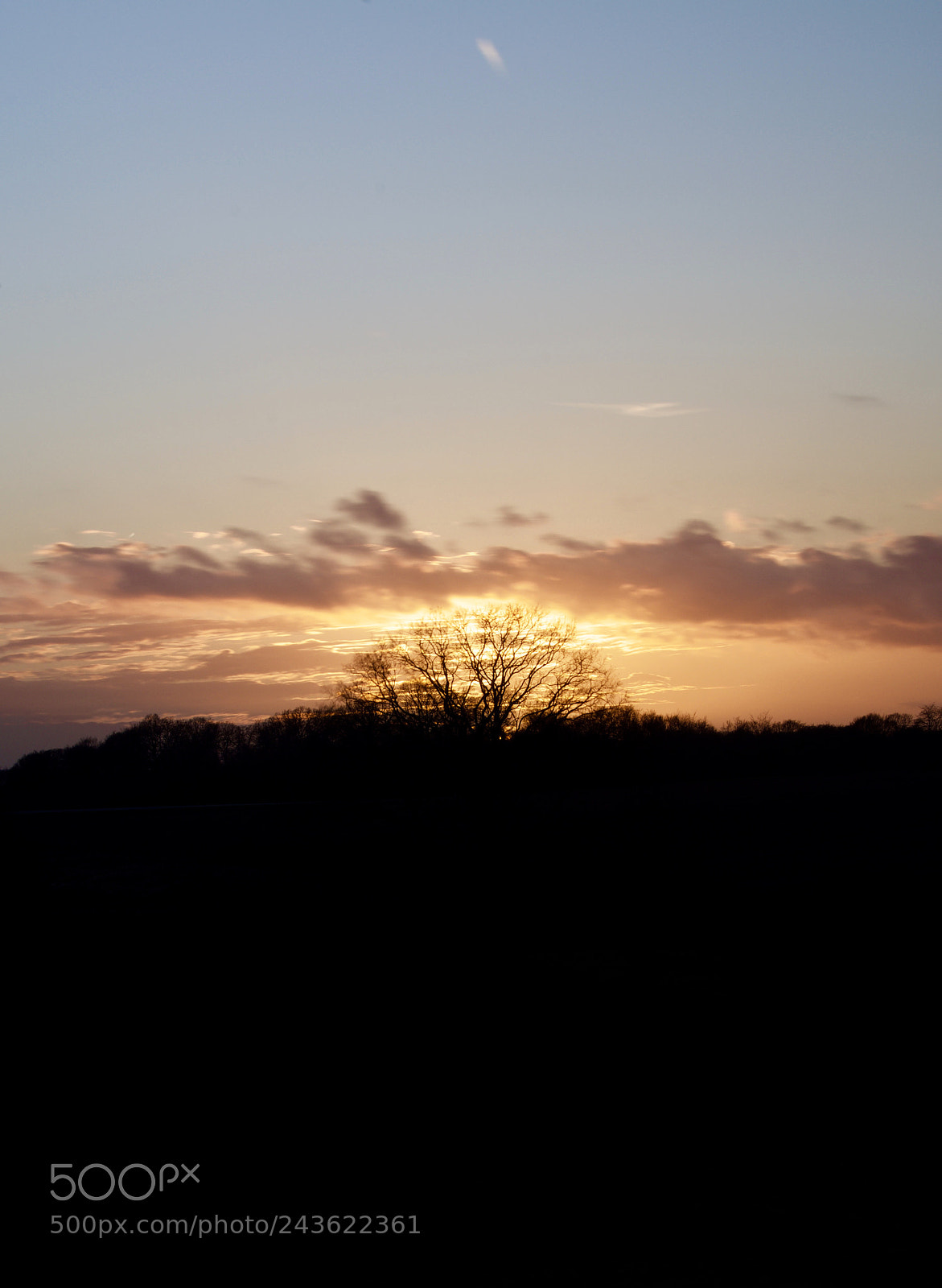 Nikon D500 sample photo. Untitled photography