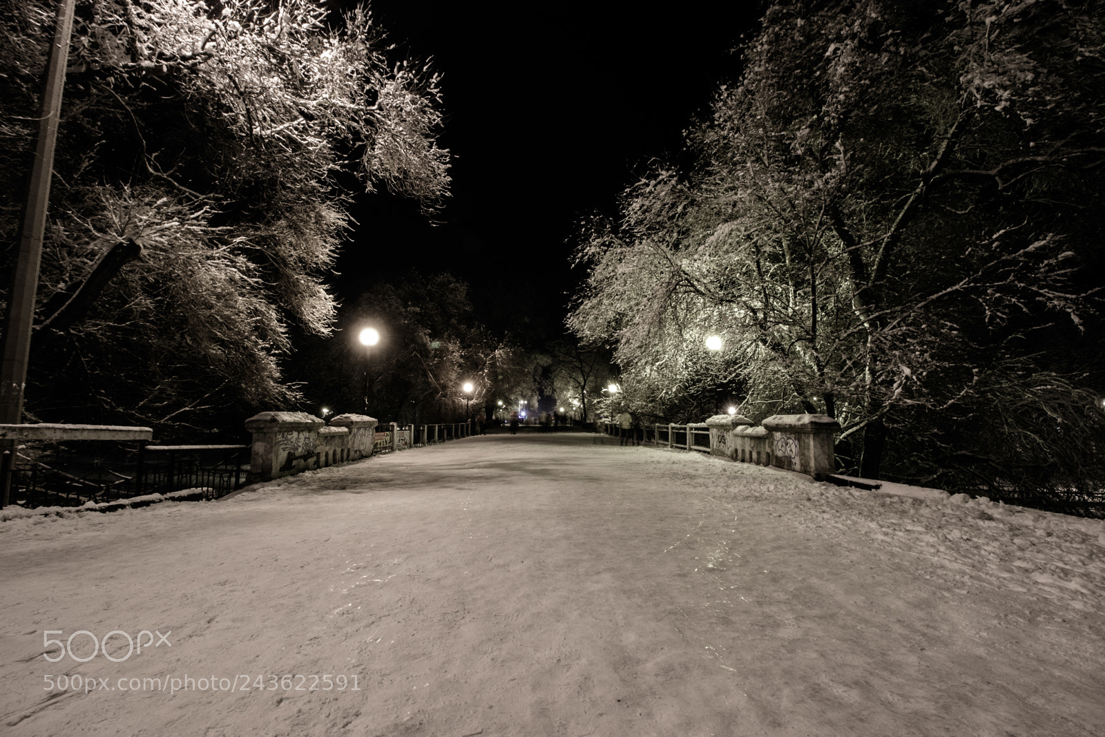 Canon EOS 7D Mark II sample photo. Frosty winter night photography