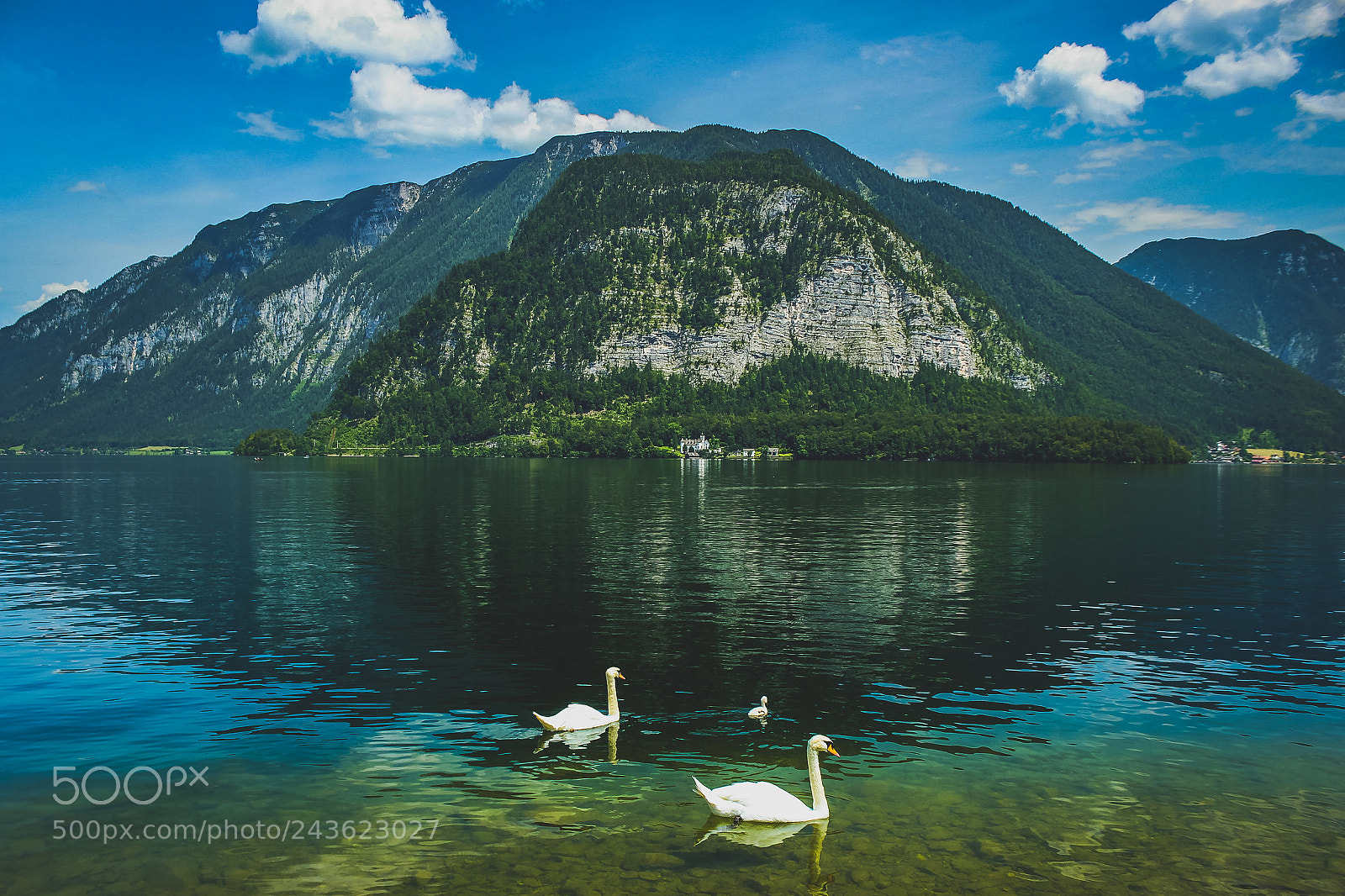 Canon EOS 600D (Rebel EOS T3i / EOS Kiss X5) sample photo. Three lake hallstatt swans photography