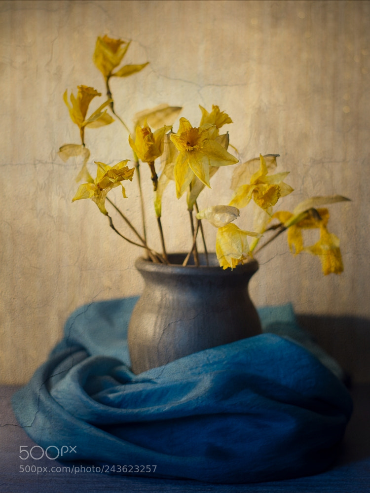 Pentax K-5 sample photo. Memory of spring photography