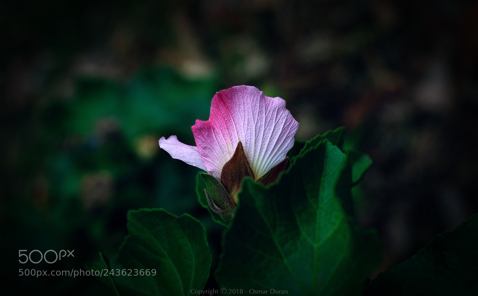 Nikon D200 sample photo. Structures photography