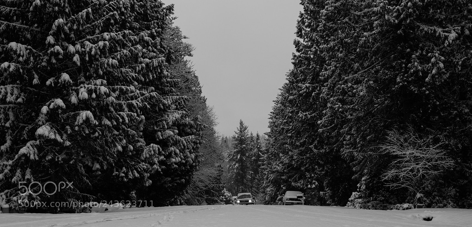 Nikon D850 sample photo. Snow in town photography