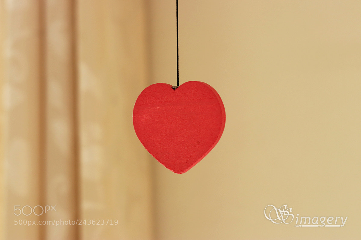 Canon EOS 200D (EOS Rebel SL2 / EOS Kiss X9) sample photo. Love is in the photography