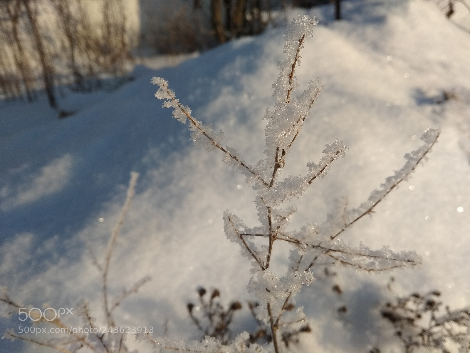 Xiaomi Redmi Note 5A sample photo. Untitled photography