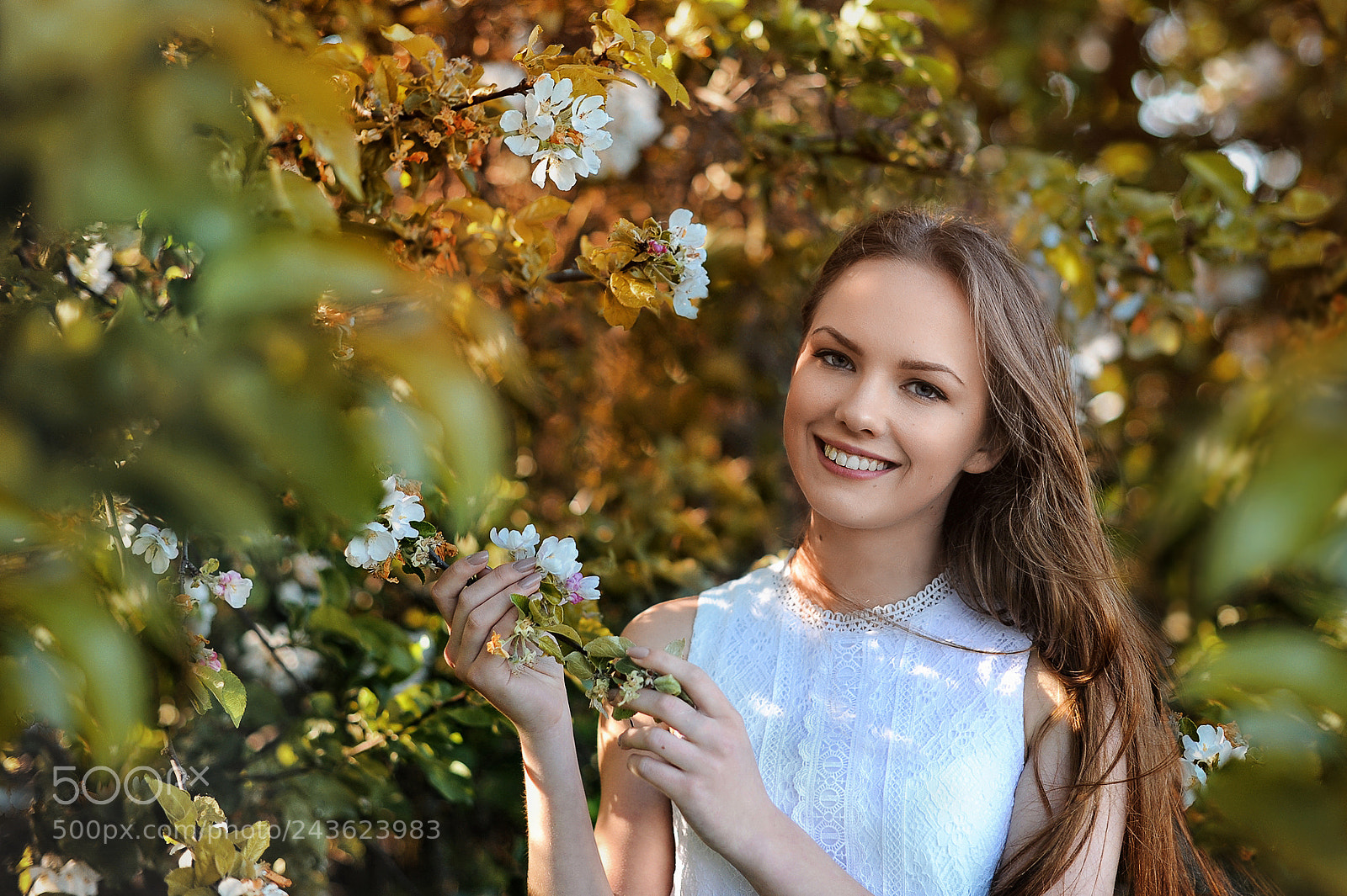 Nikon D700 sample photo. Eternal spring photography