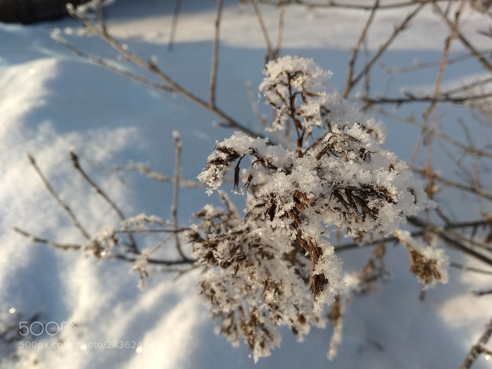 Xiaomi Redmi Note 5A sample photo. Untitled photography