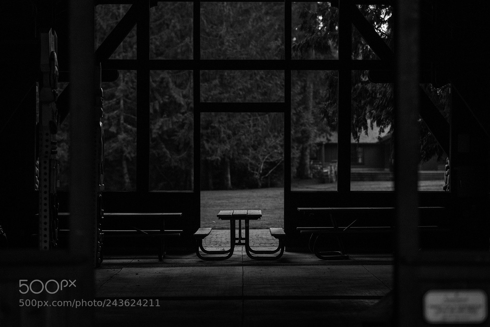 Nikon D850 sample photo. Geometry in a park photography