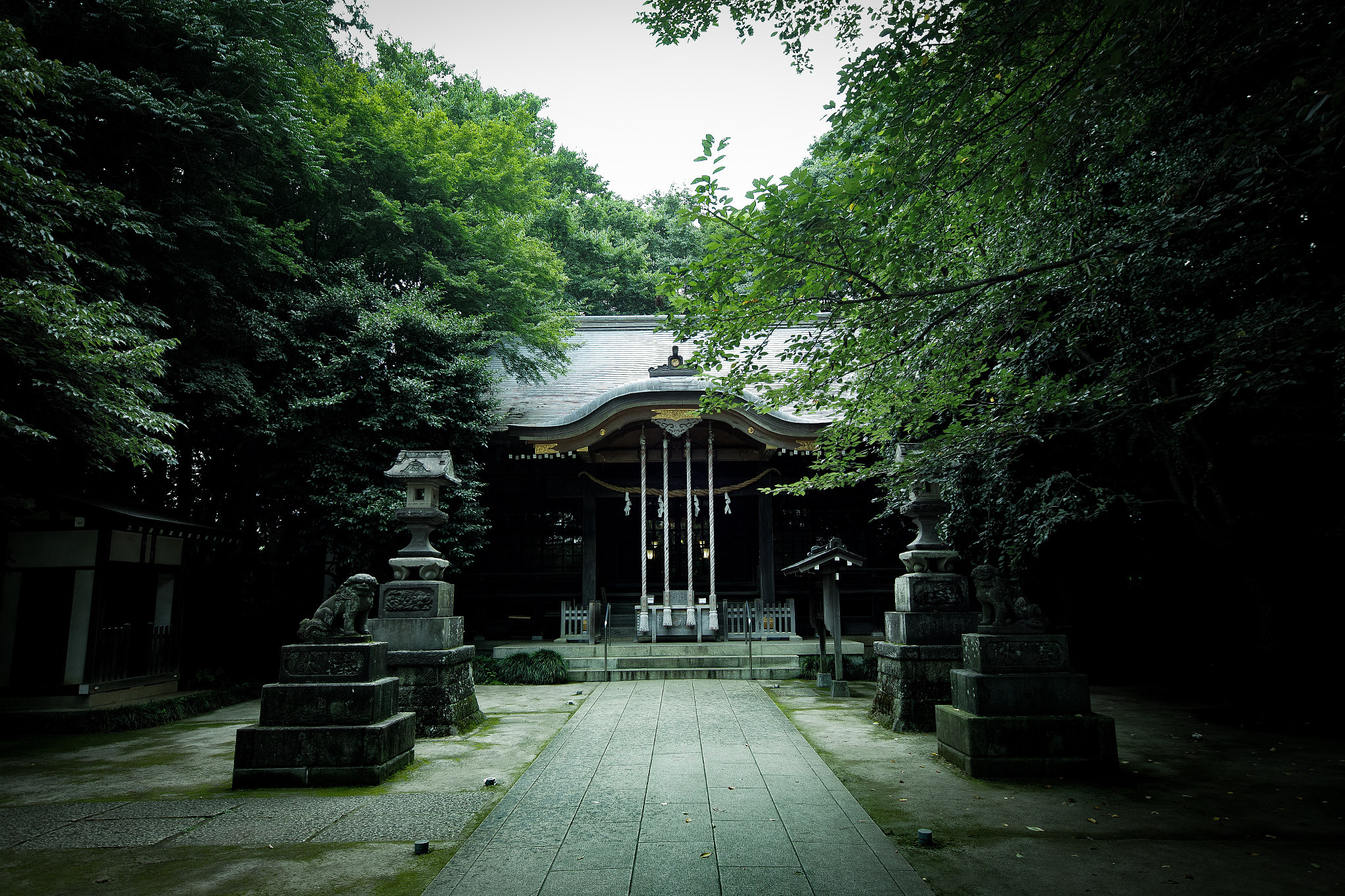 Sigma sd Quattro sample photo. Hikawa shrine photography