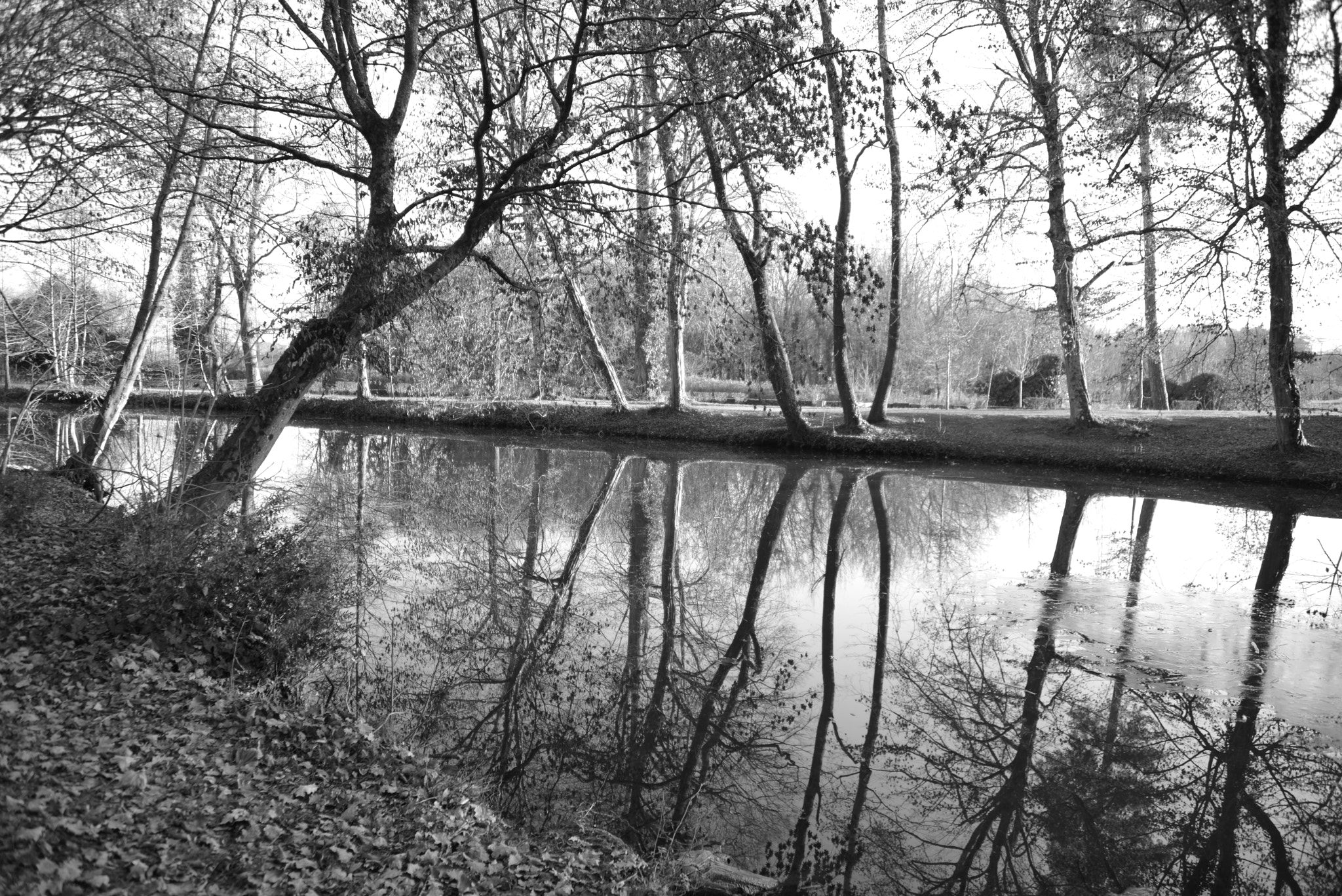 Nikon D800 sample photo. Reflets photography