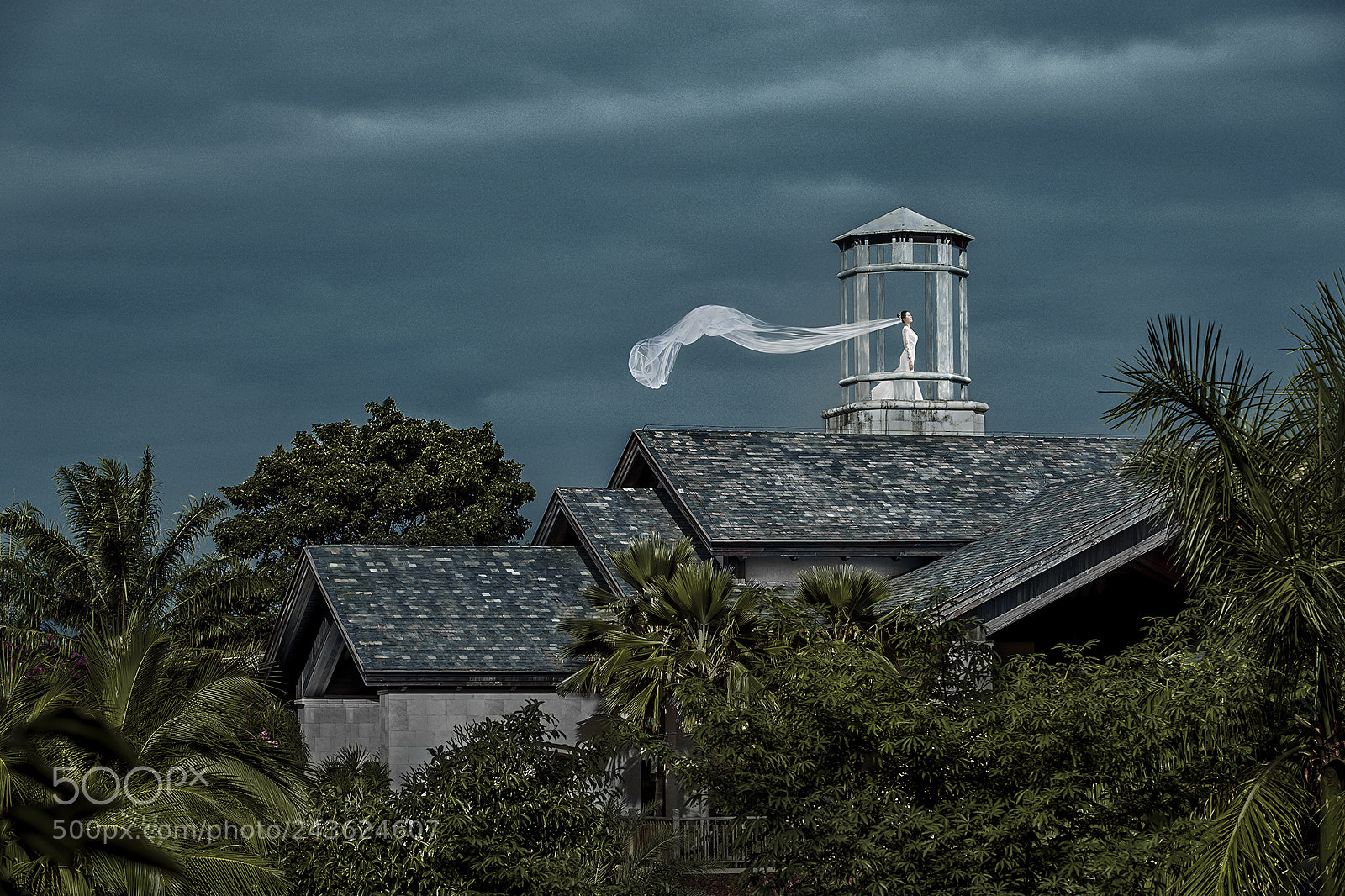 Canon EOS-1D X Mark II sample photo. Untitled photography