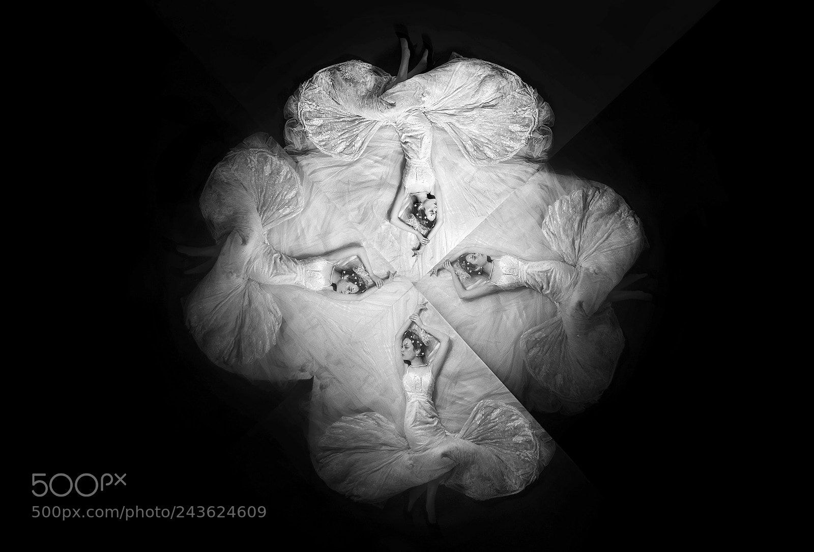 Canon EOS-1D X sample photo. Untitled photography