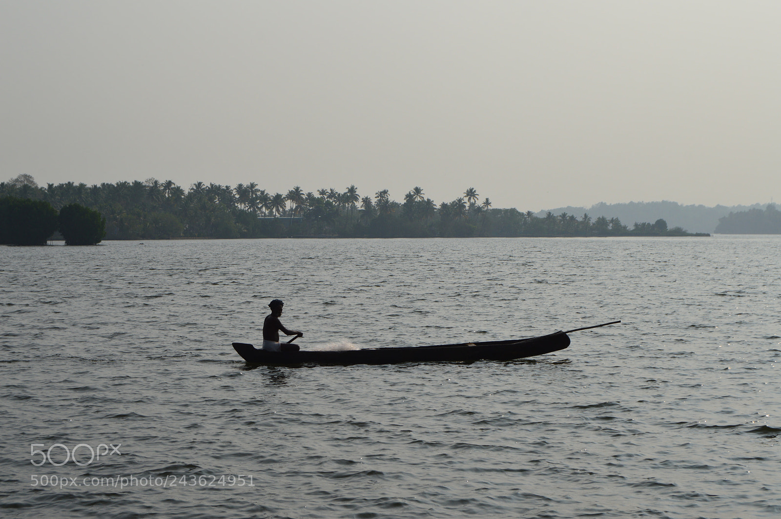 Nikon D3200 sample photo. The life photography
