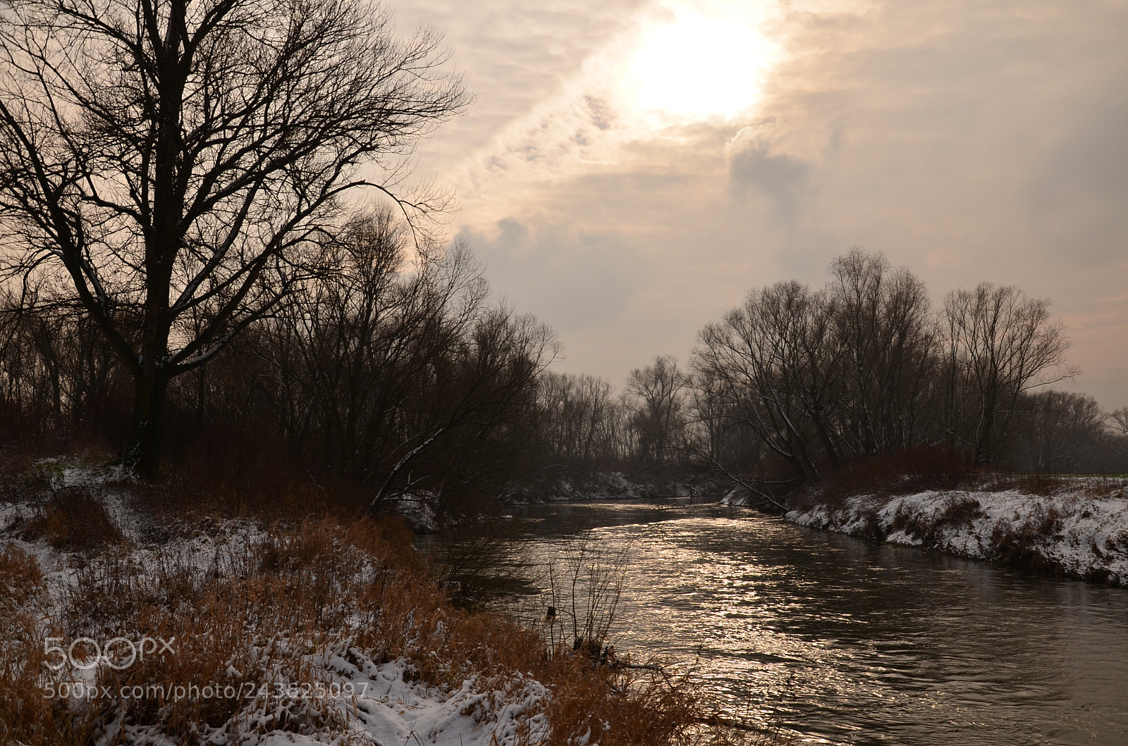 Nikon D5100 sample photo. 284 photography
