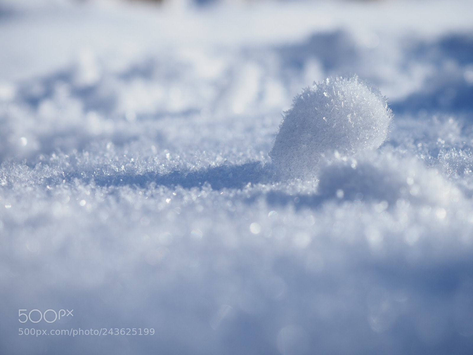 Olympus OM-D E-M1 Mark II sample photo. Snowball with frost photography