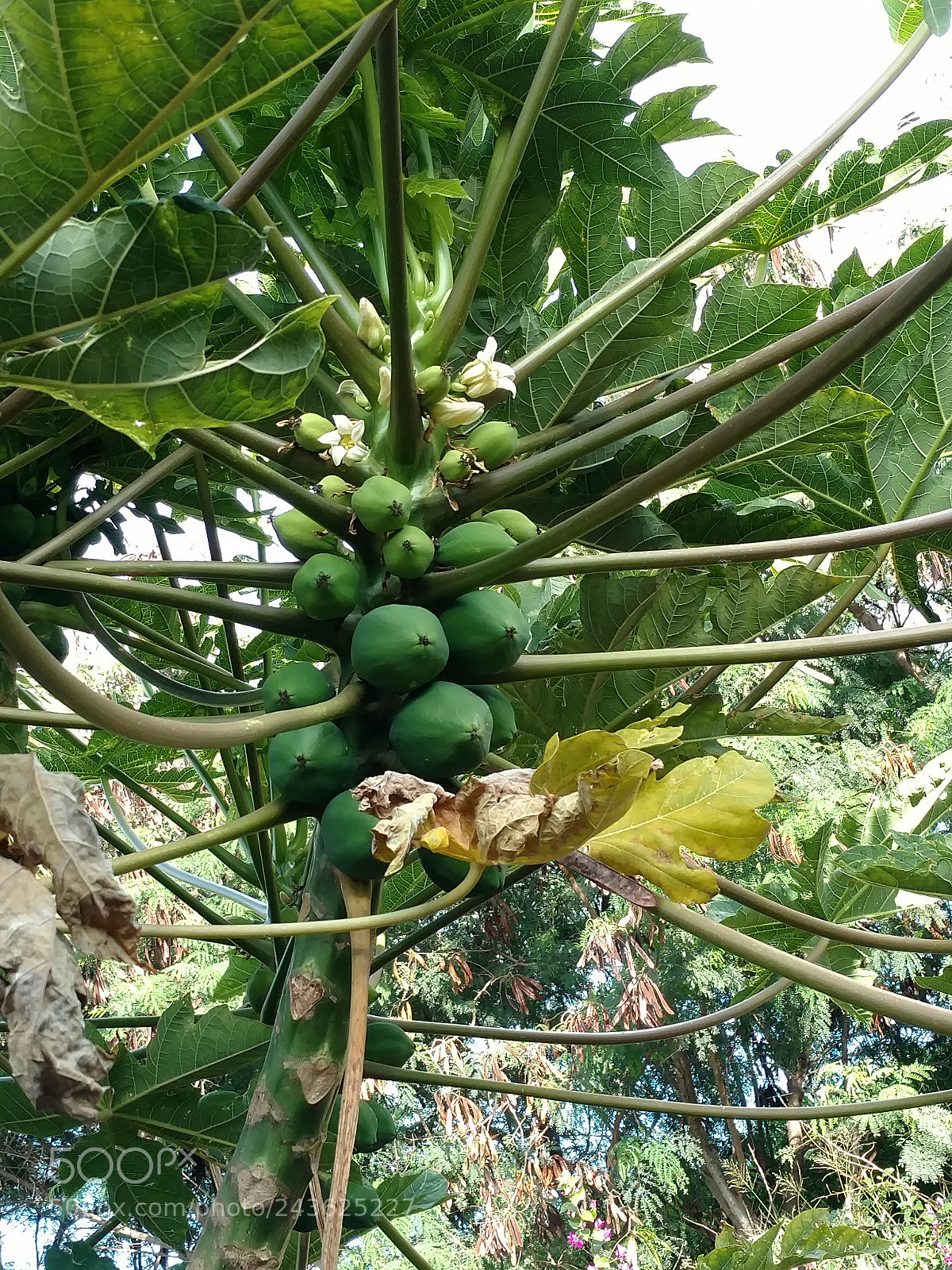 Motorola DROID Turbo 2 sample photo. Untitled photography