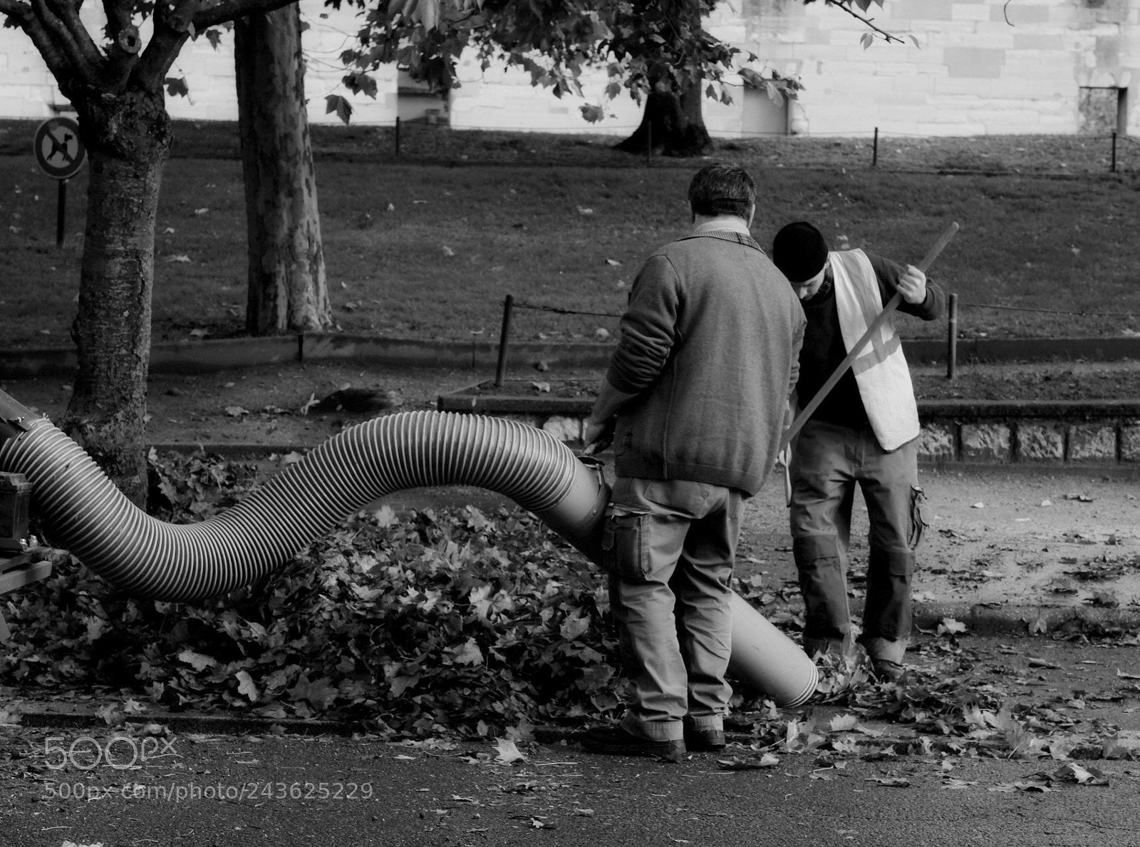 Fujifilm X-Pro2 sample photo. Leaf devourer. photography
