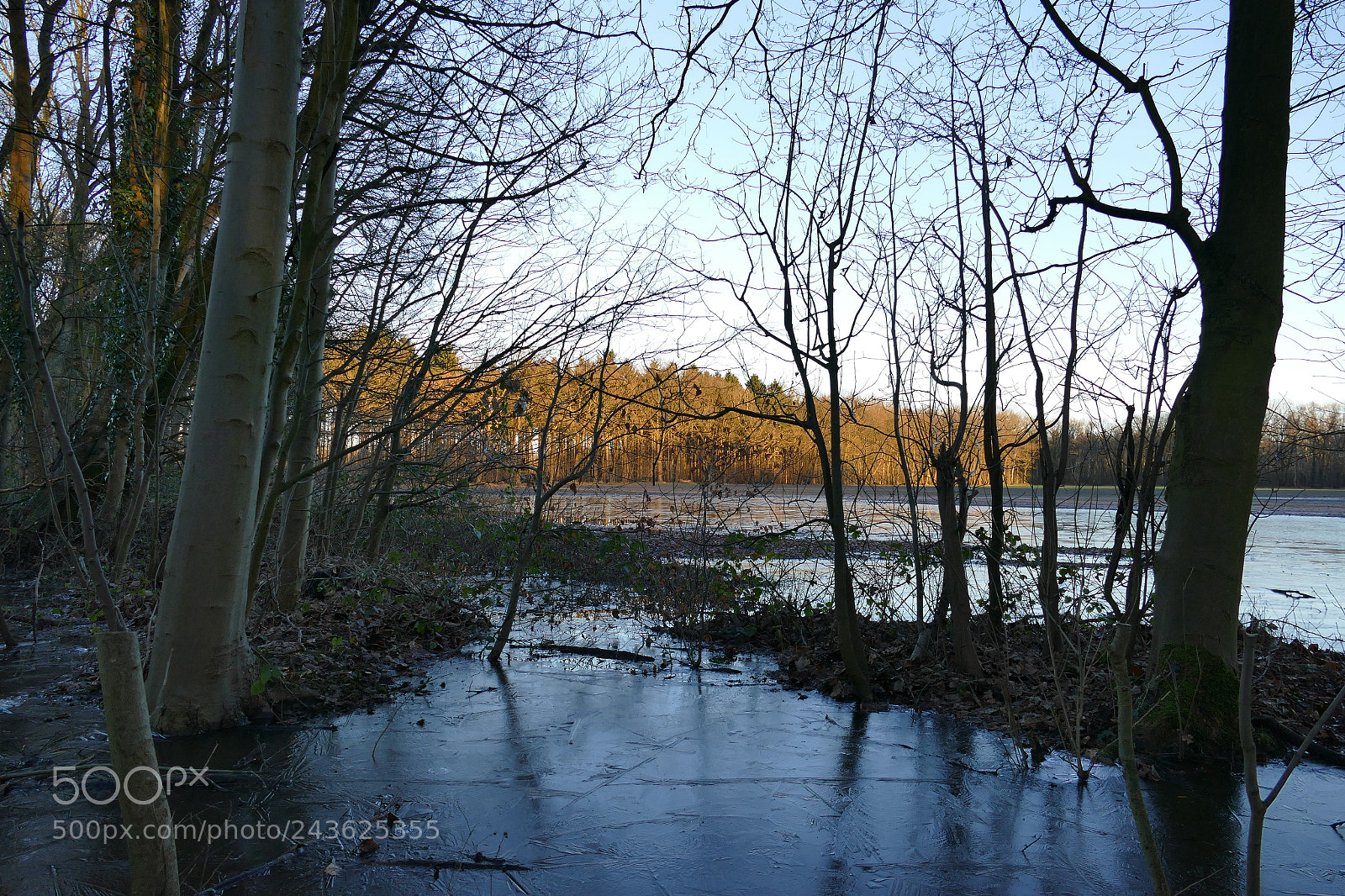 Panasonic Lumix DMC-FZ1000 sample photo. Flooded photography