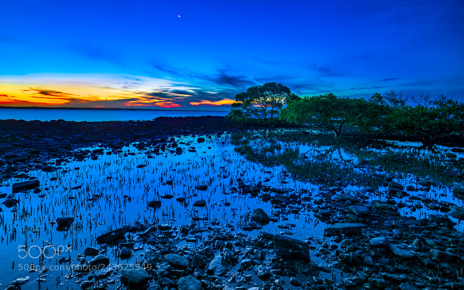 Nikon D500 sample photo. Mangroves at sunset photography