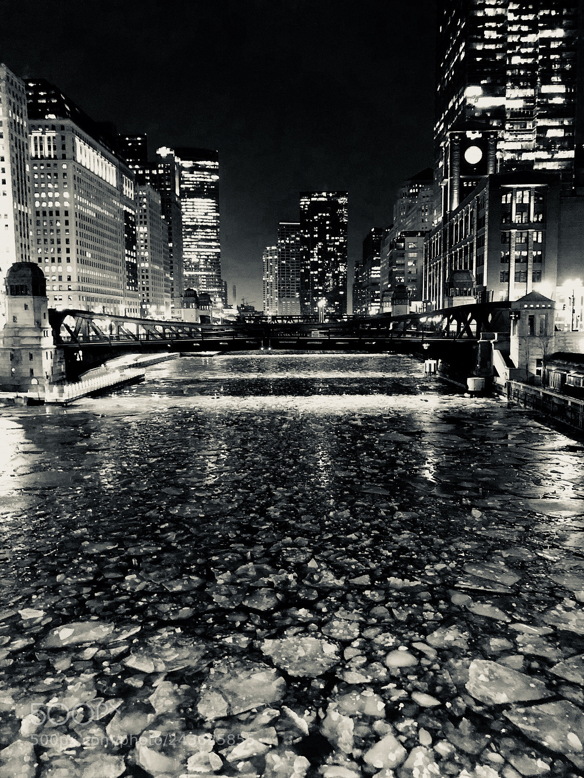 Apple iPhone X sample photo. Cold blooded. we back. photography