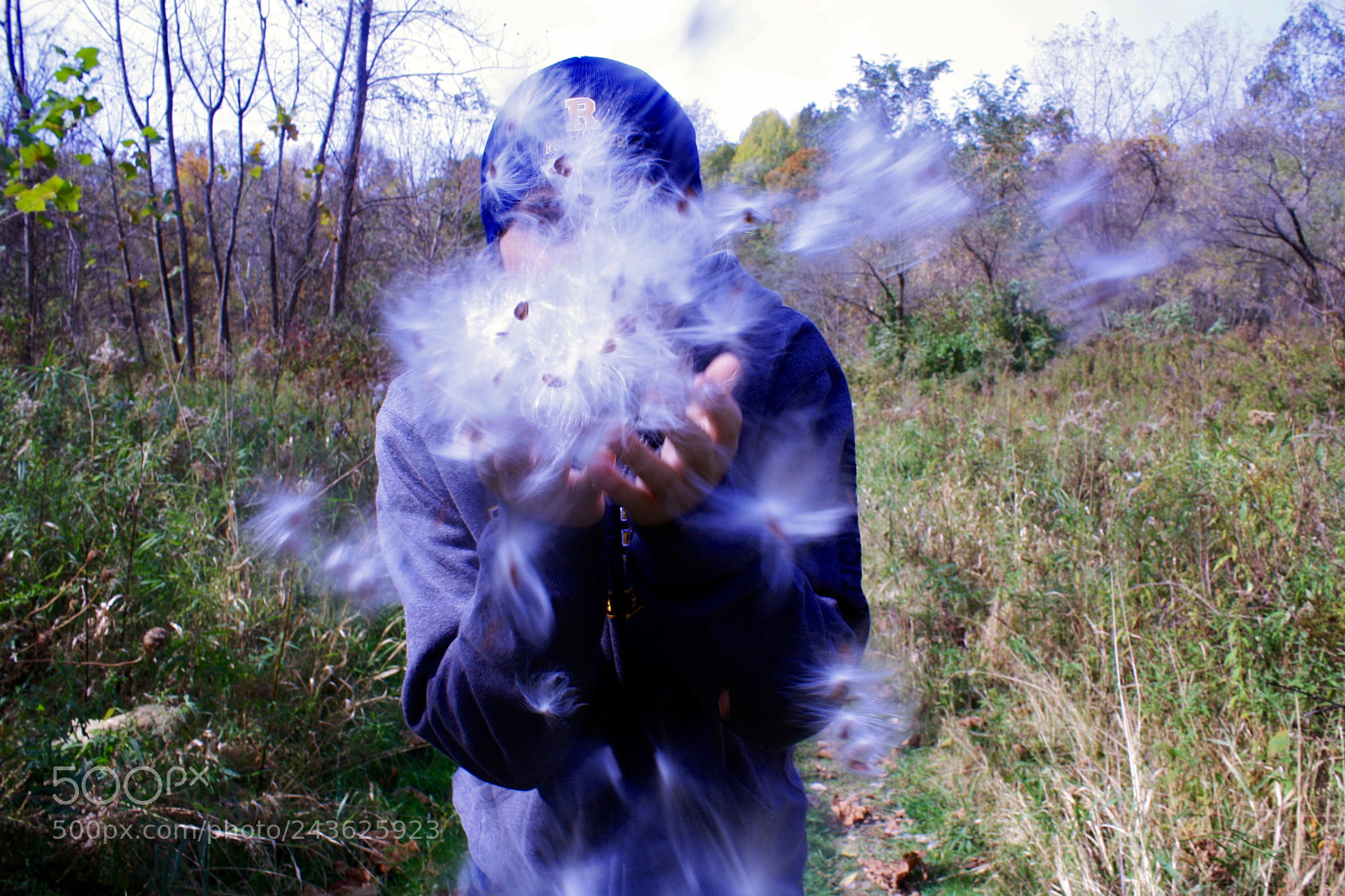 Canon EOS 1000D (EOS Digital Rebel XS / EOS Kiss F) sample photo. Blowing wishes photography