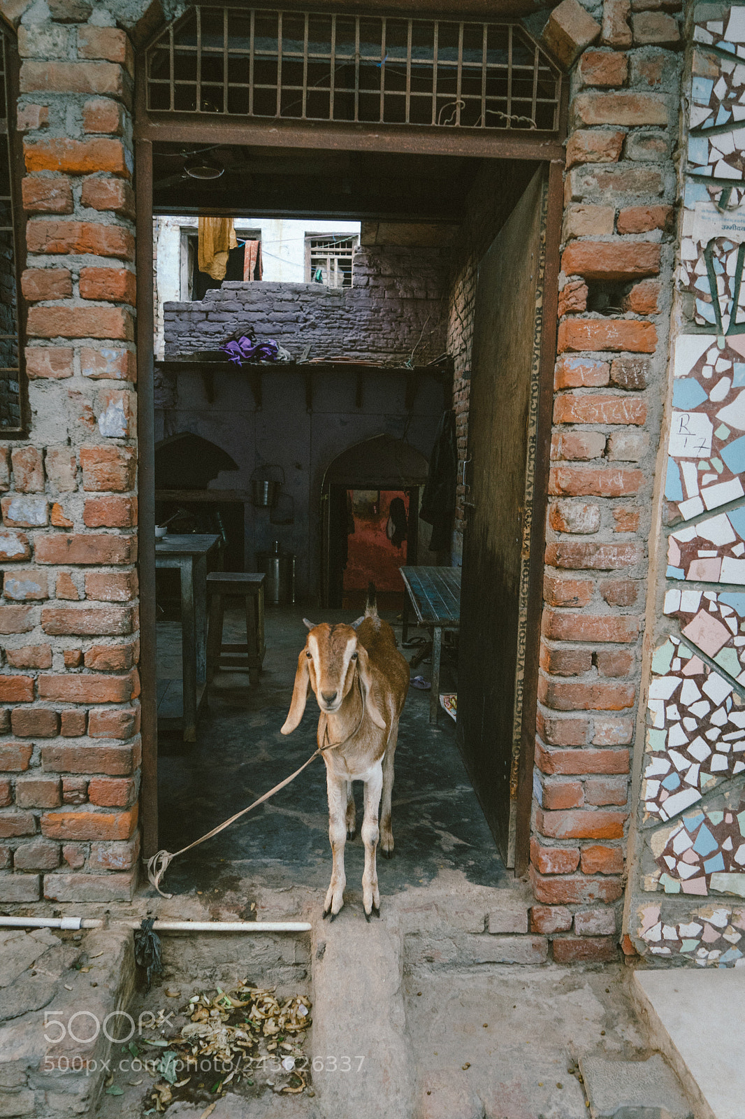 Sony a7 II sample photo. Agra photography
