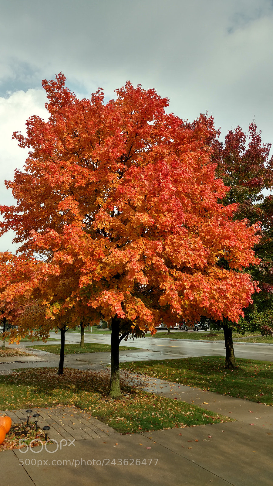 Motorola DROID Turbo 2 sample photo. Untitled photography