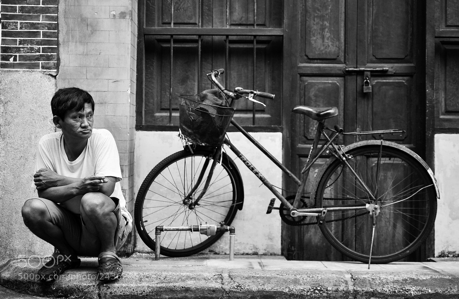 Nikon D5000 sample photo. Untitled photography