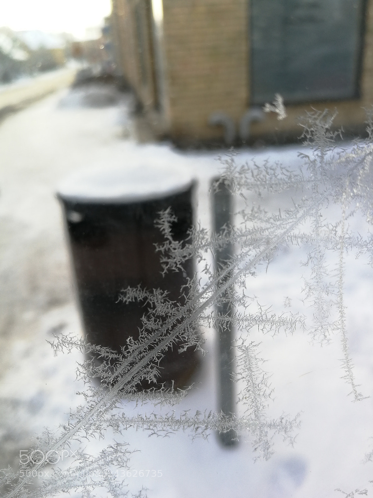 HUAWEI P10 sample photo. Branches of snow photography