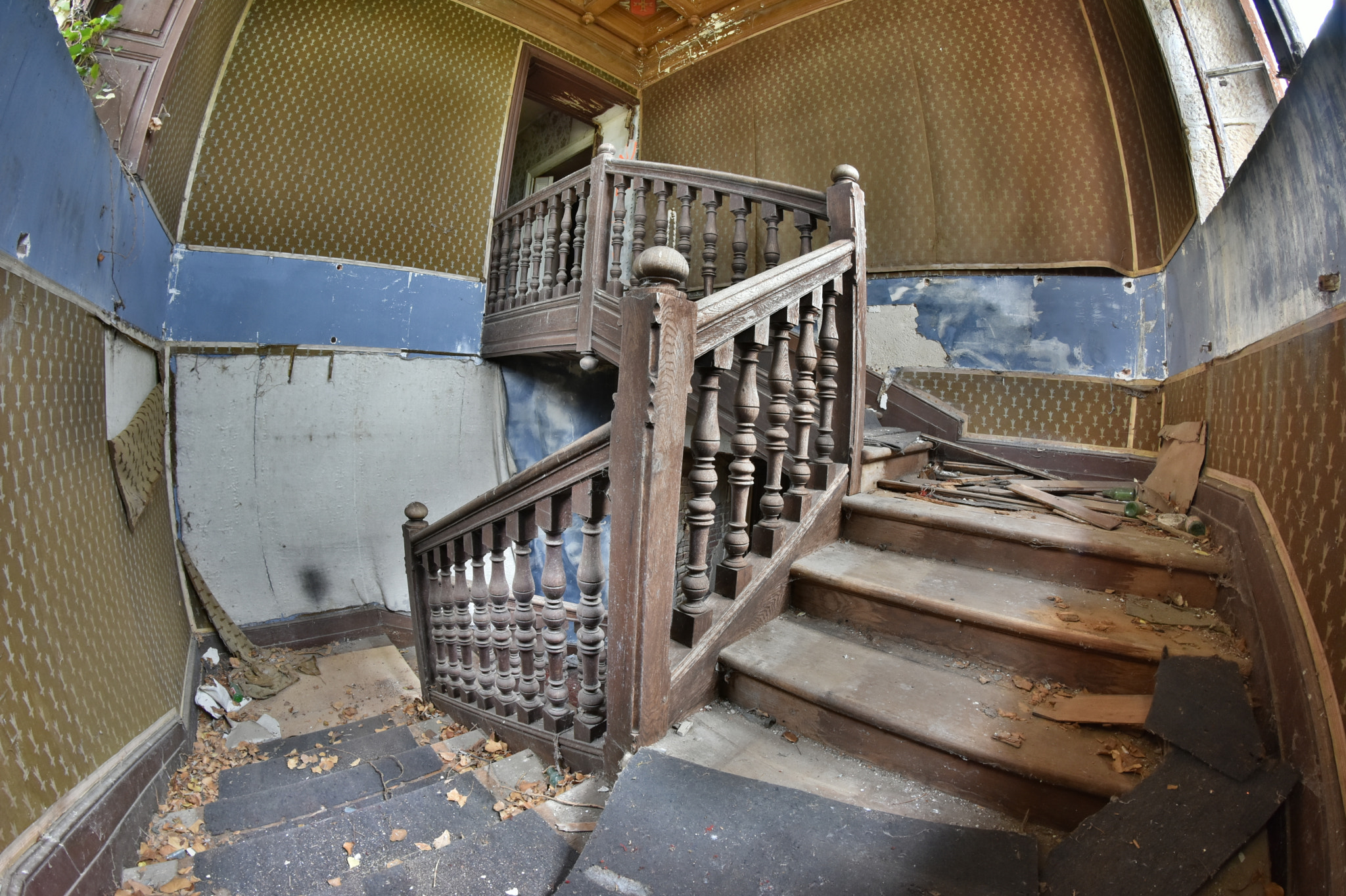 Nikon D7200 + Samyang 8mm F3.5 Aspherical IF MC Fisheye sample photo. Escalier du château photography