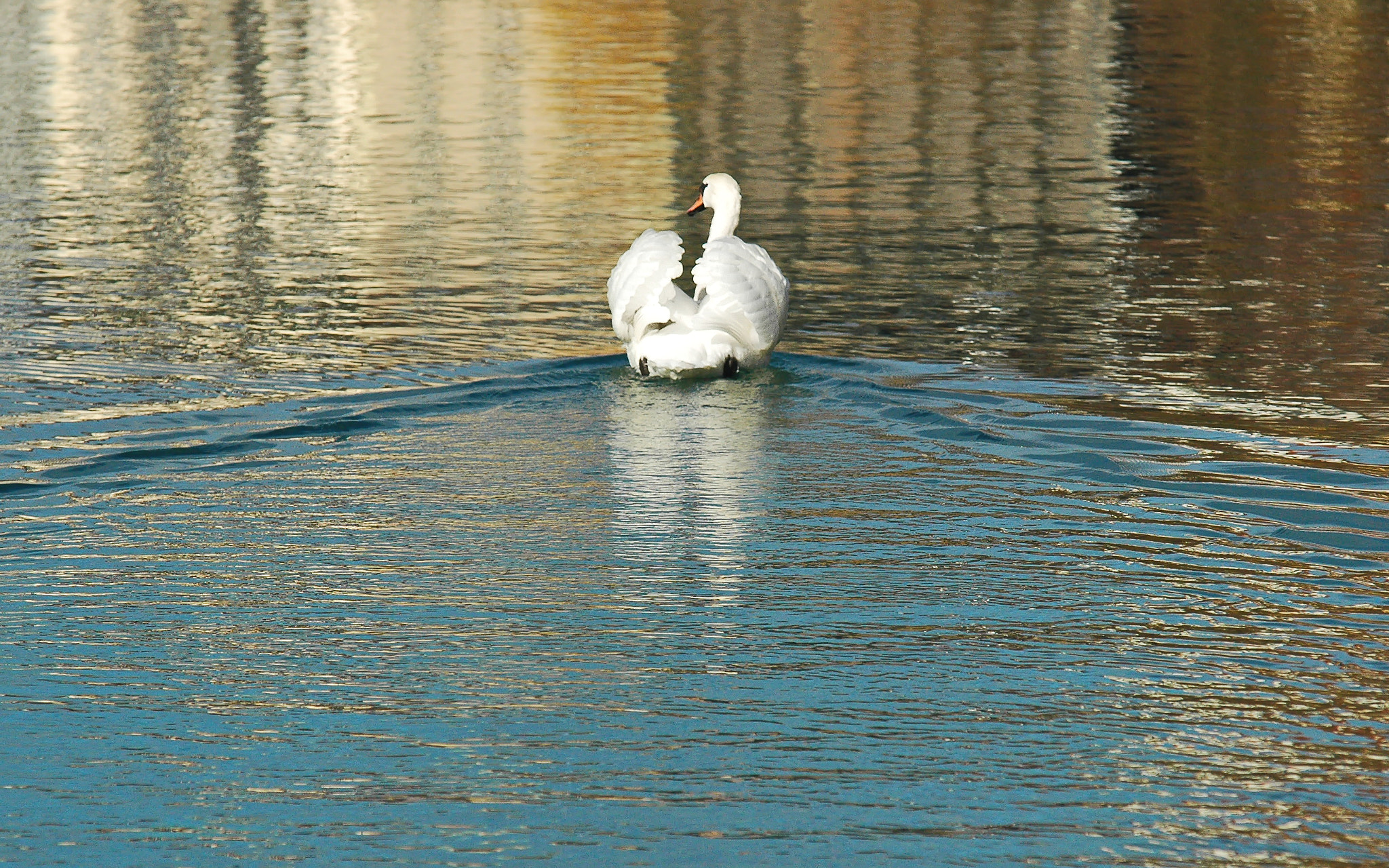 Nikon D70s sample photo. Sailing into the sunset photography