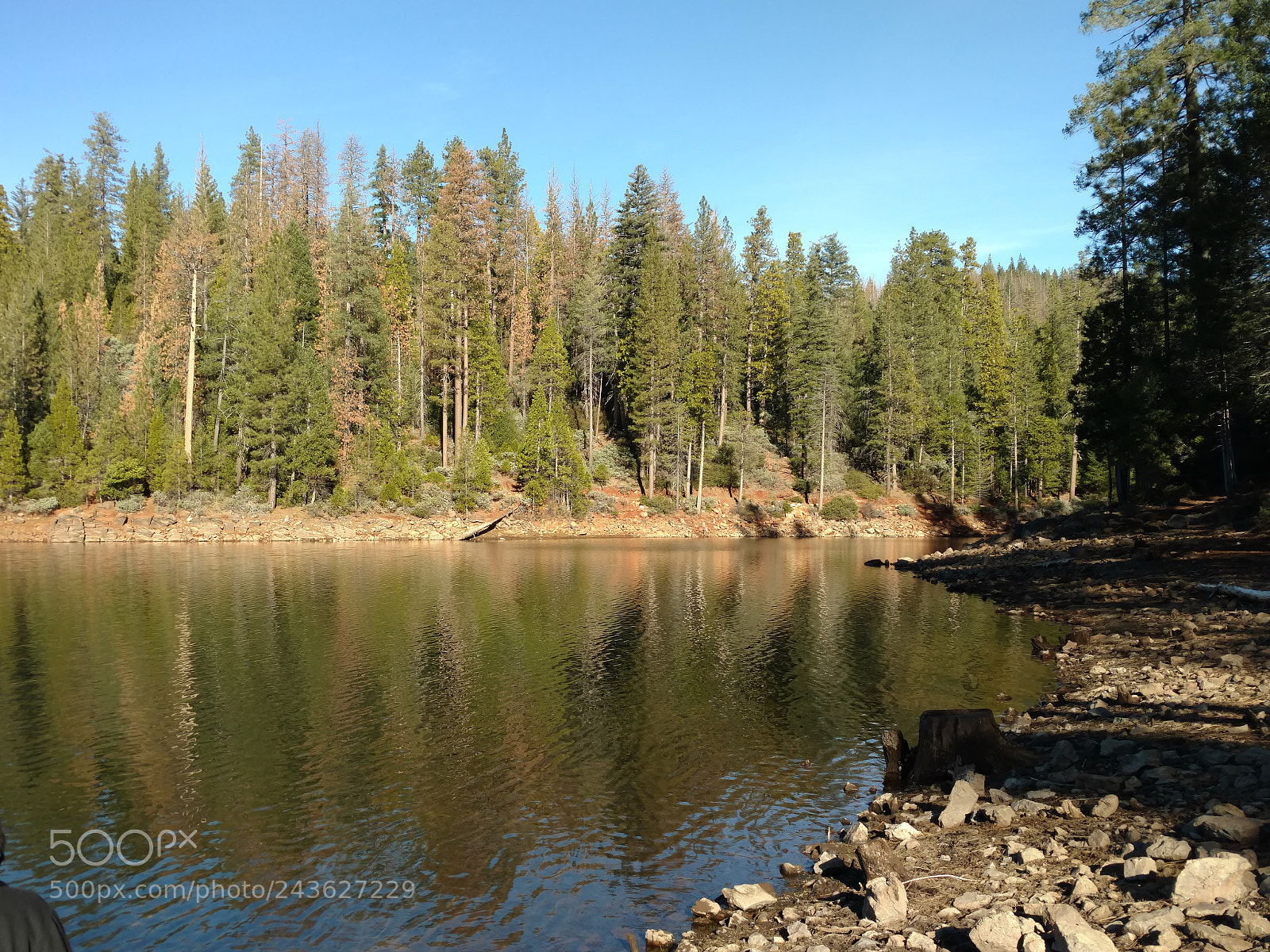 Motorola DROID Turbo 2 sample photo. Untitled photography