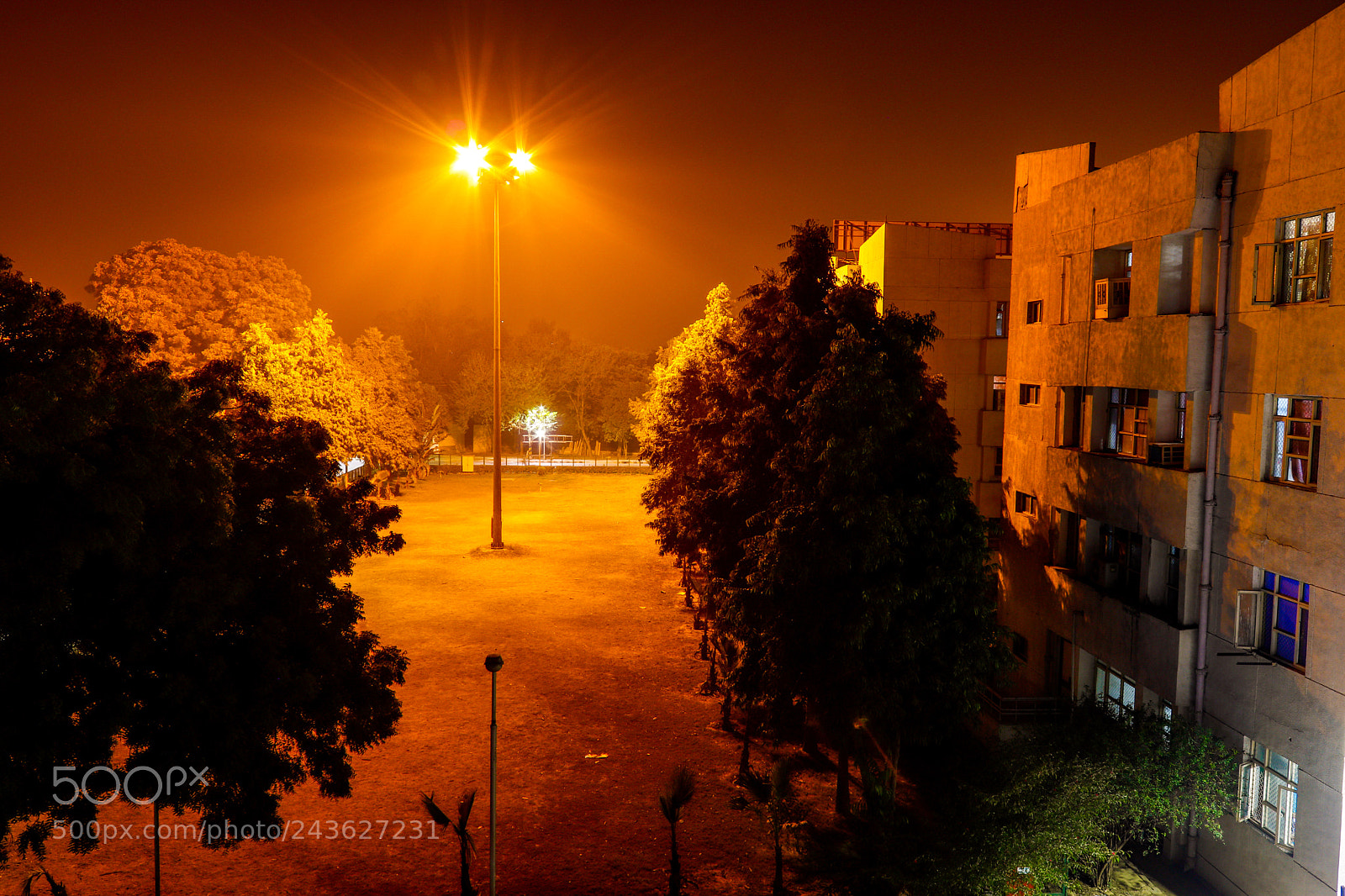 Canon EOS 77D (EOS 9000D / EOS 770D) sample photo. Silence photography