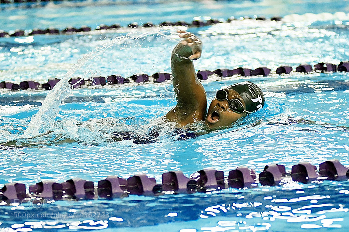 Nikon D500 sample photo. 1-18_0148.jpg photography