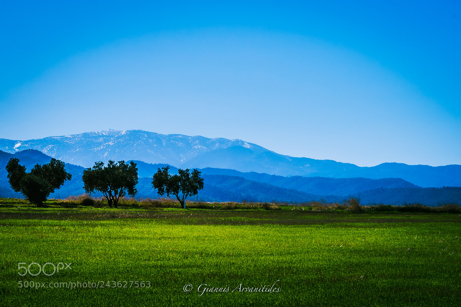 Nikon D7500 sample photo. Nature photography