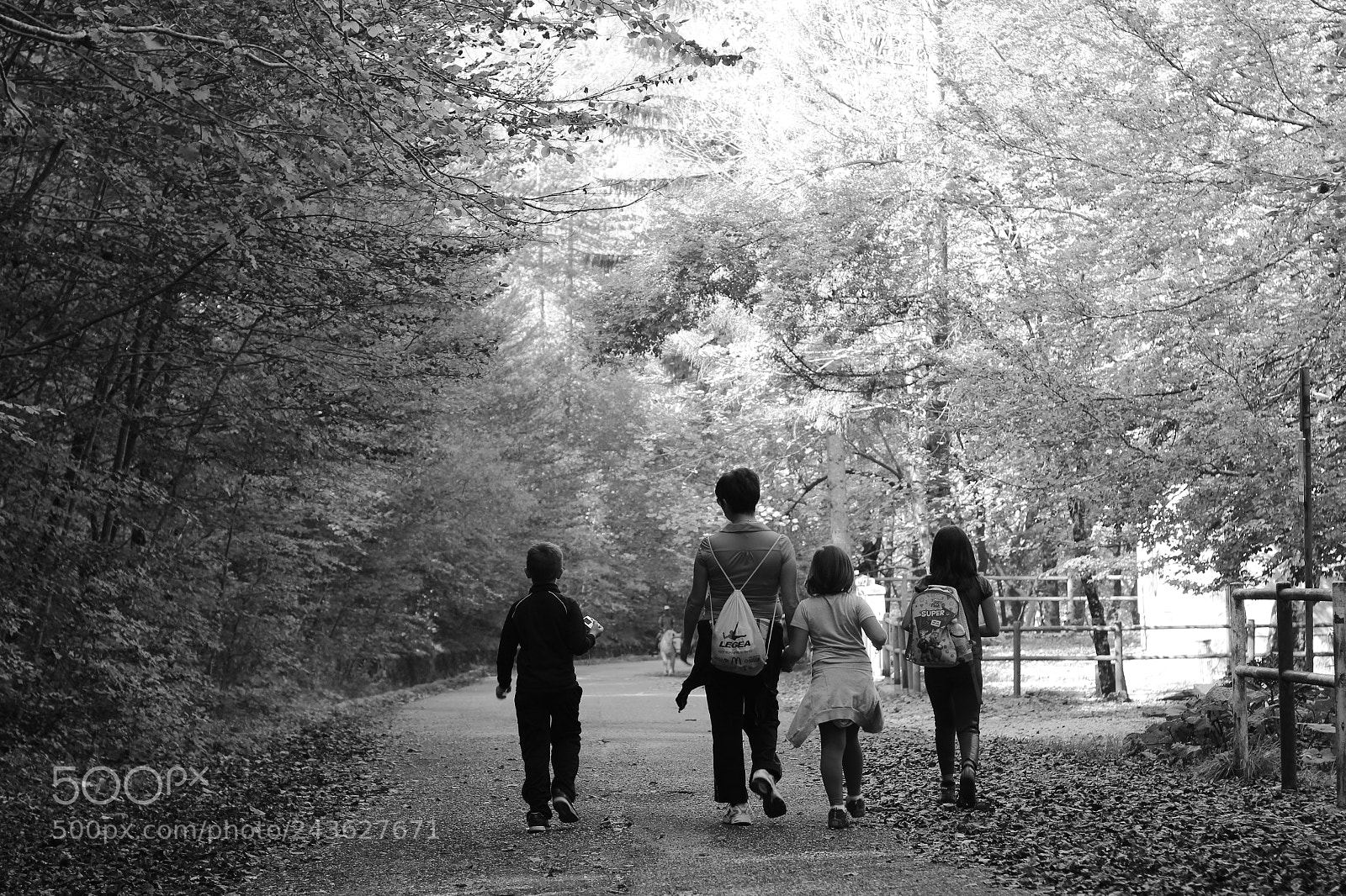 Canon EOS 600D (Rebel EOS T3i / EOS Kiss X5) + Canon EF 50mm F1.8 II sample photo. Family walk photography