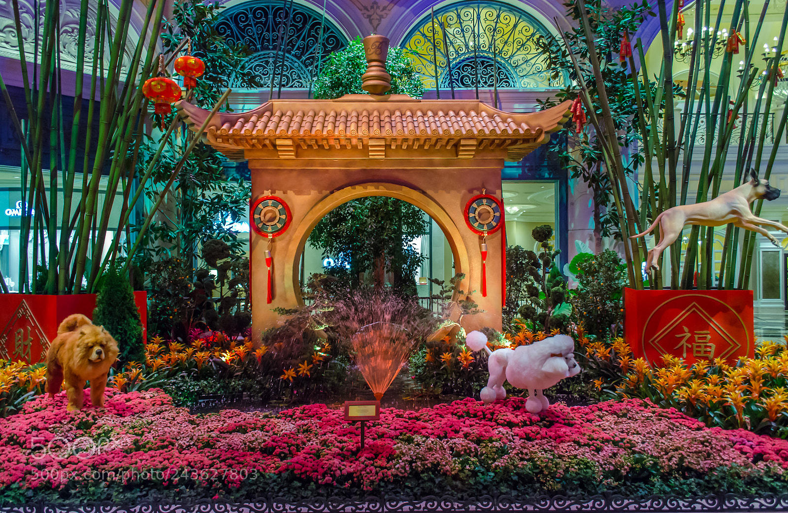 Nikon D5100 sample photo. Moon gate year of photography