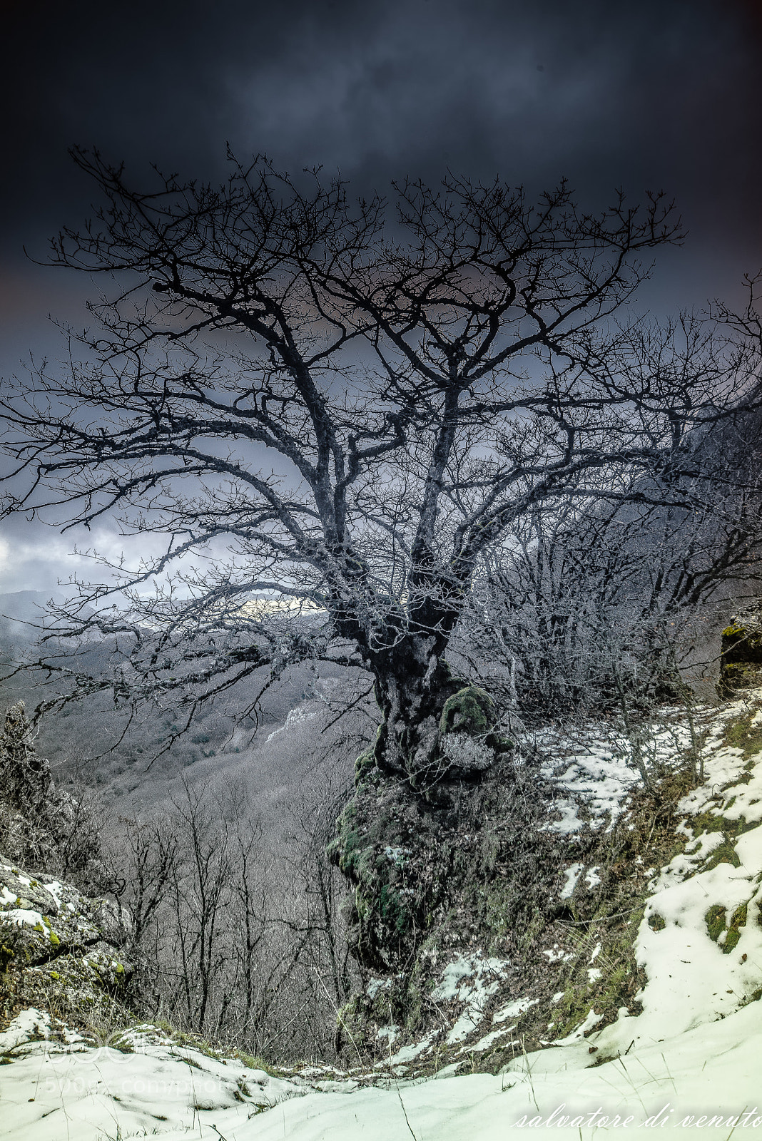 Nikon D610 sample photo. Sicilia photography