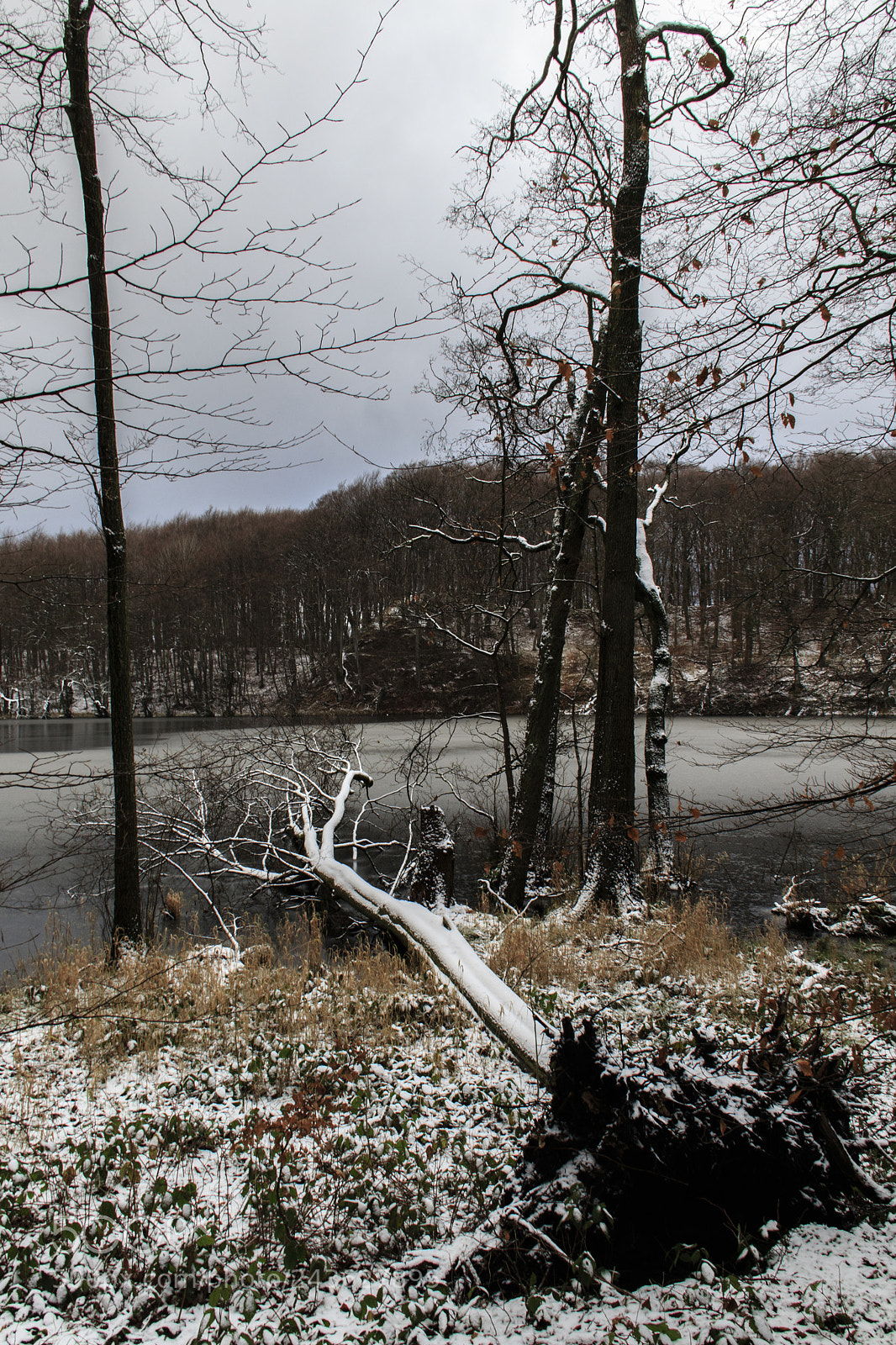 Canon EOS 7D Mark II sample photo. Am hertha-see photography