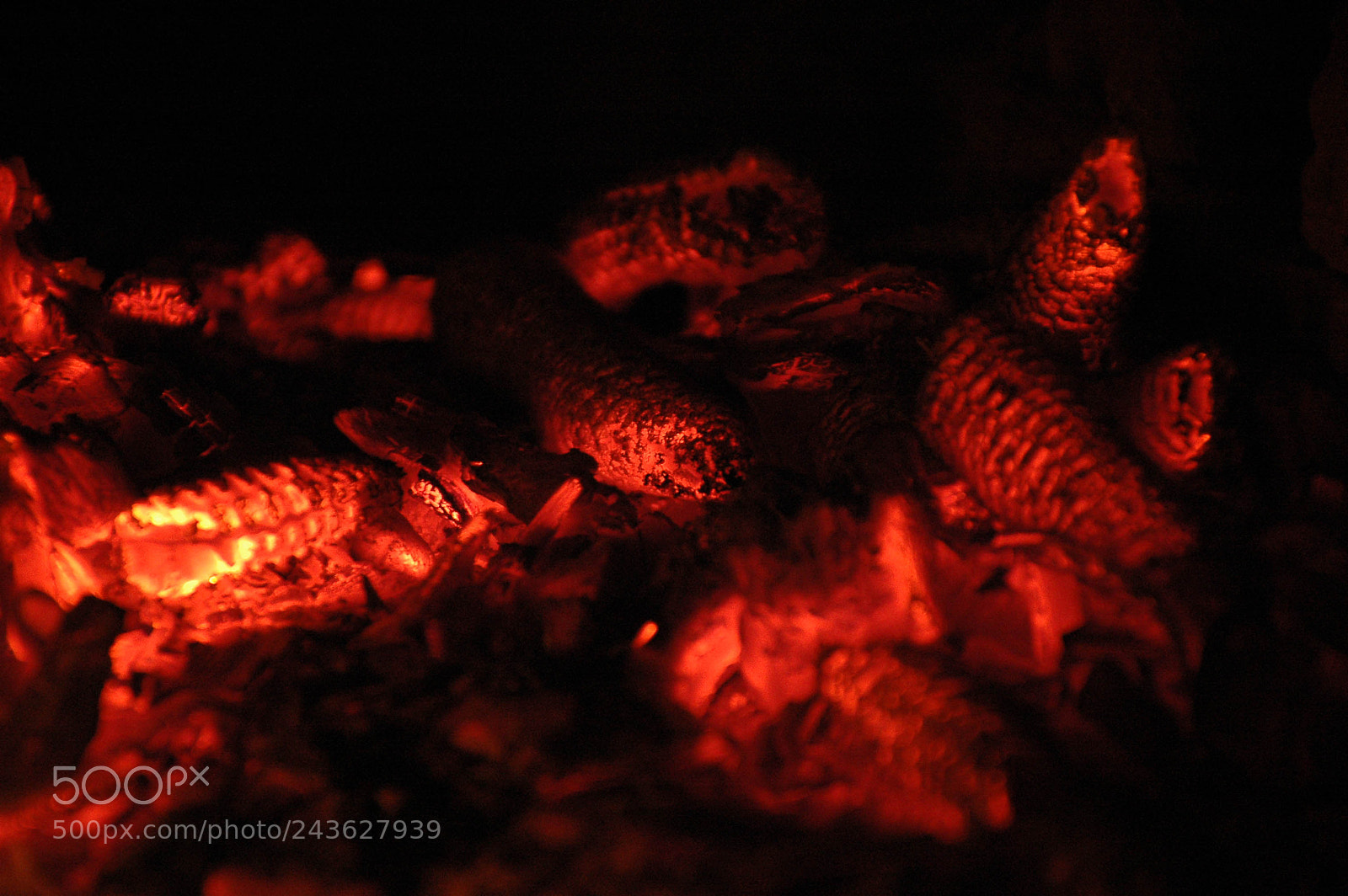 Nikon D70s sample photo. Fire photography