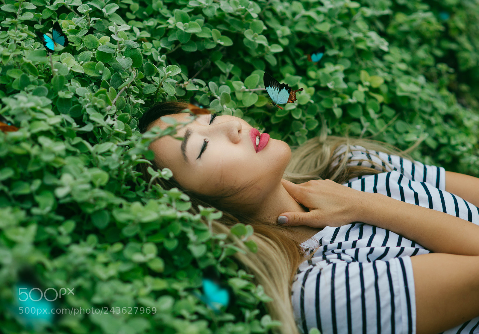 Nikon D610 sample photo. Untitled photography