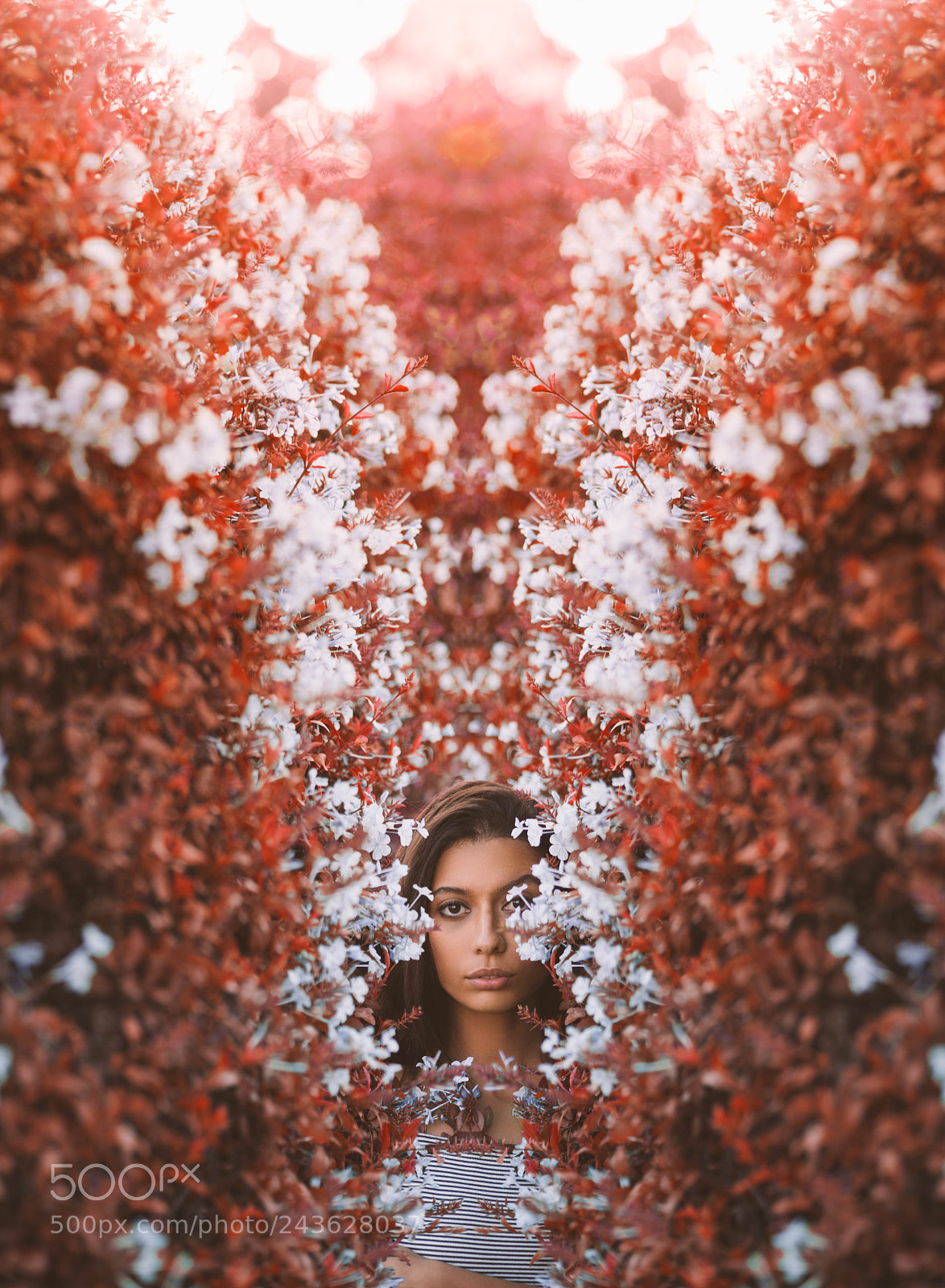 Nikon D610 sample photo. Untitled photography