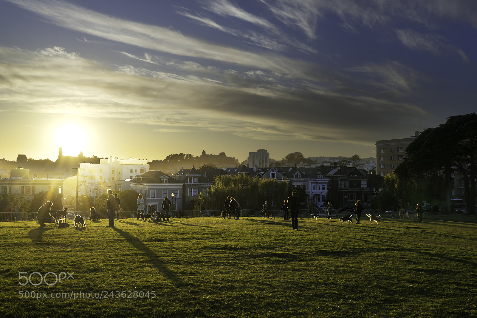 Sony a7 II sample photo. Dsc photography