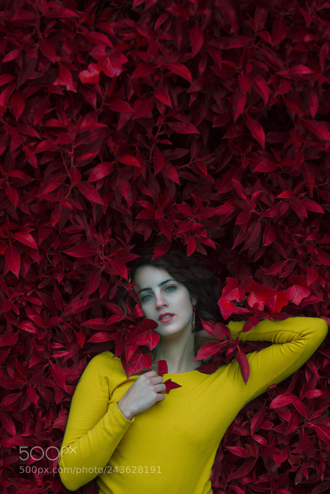 Nikon D610 sample photo. Untitled photography