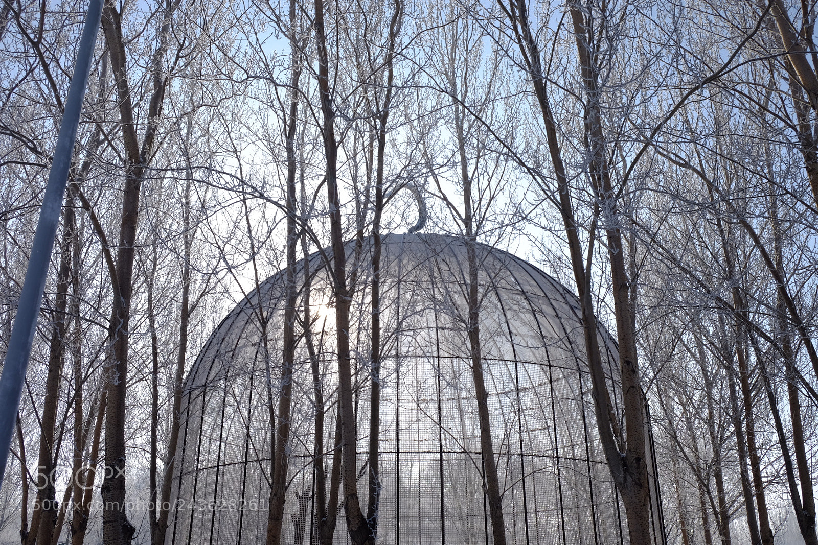 Fujifilm X-T10 sample photo. Birdcage photography