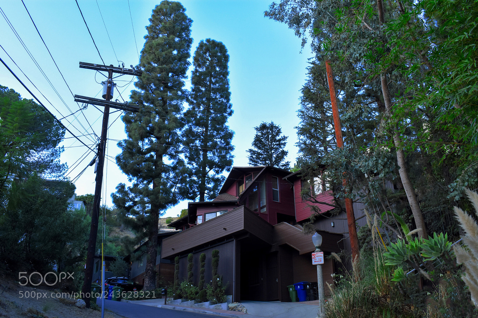 Nikon D3400 sample photo. Hollywood cribs photography