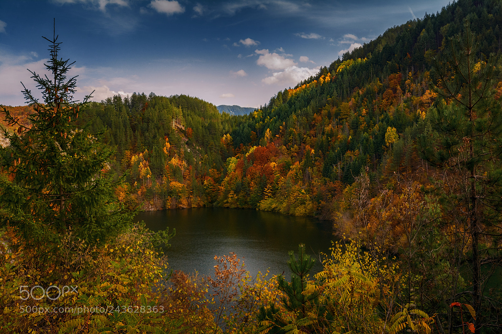 Nikon D7100 sample photo. Autumn photography