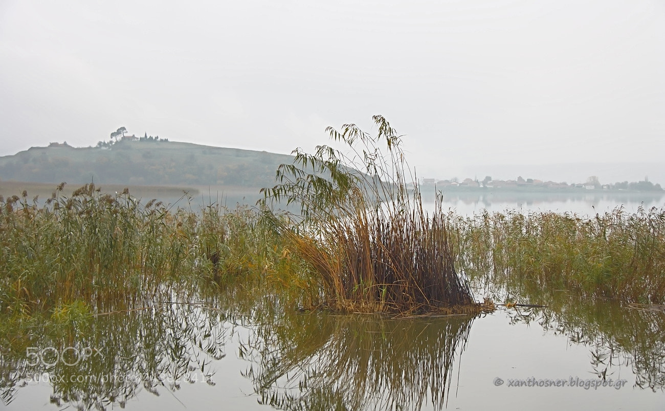 Canon EOS 1000D (EOS Digital Rebel XS / EOS Kiss F) sample photo. Zazari lake, macedonia, hellas photography