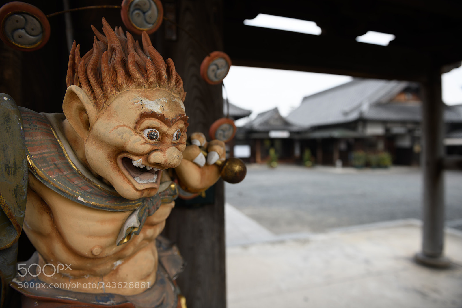 Nikon D850 sample photo. The god of thunder photography
