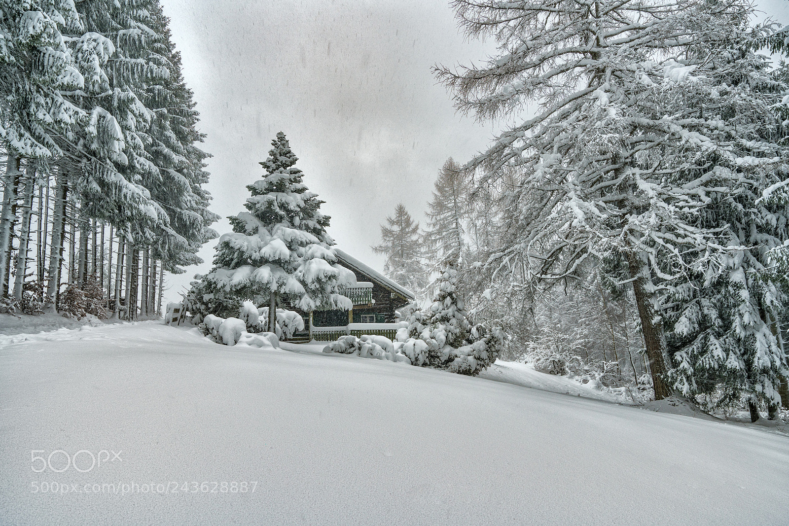 Sony a7R II sample photo. Schnneegest ber - snow photography